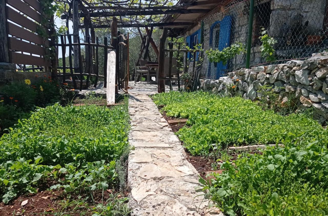 Вилла Casa Delle Olive Мощеничка-Драга Экстерьер фото