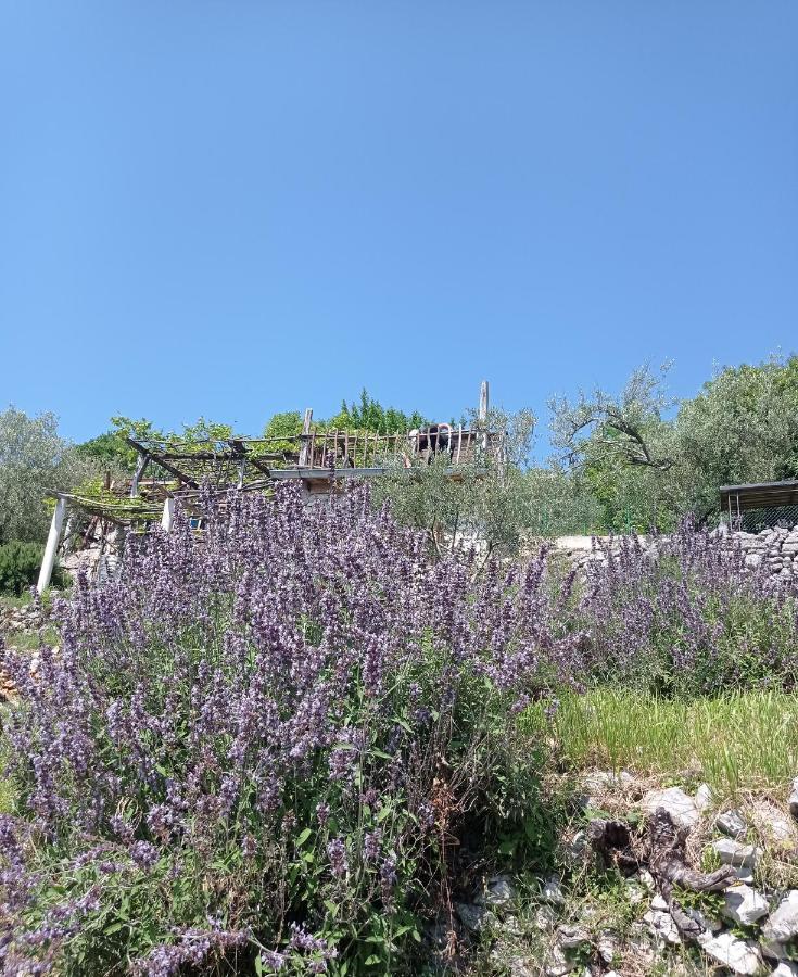 Вилла Casa Delle Olive Мощеничка-Драга Экстерьер фото