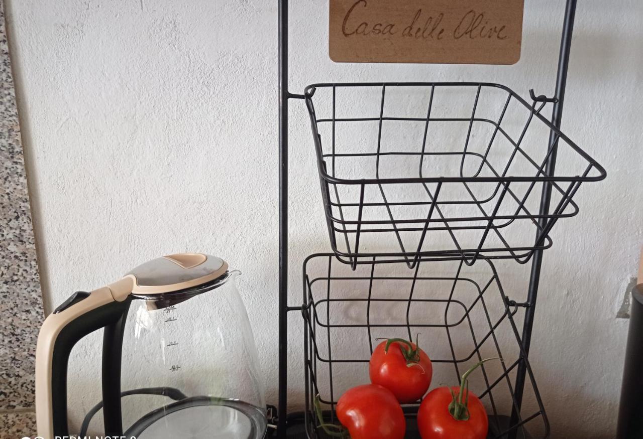 Вилла Casa Delle Olive Мощеничка-Драга Экстерьер фото