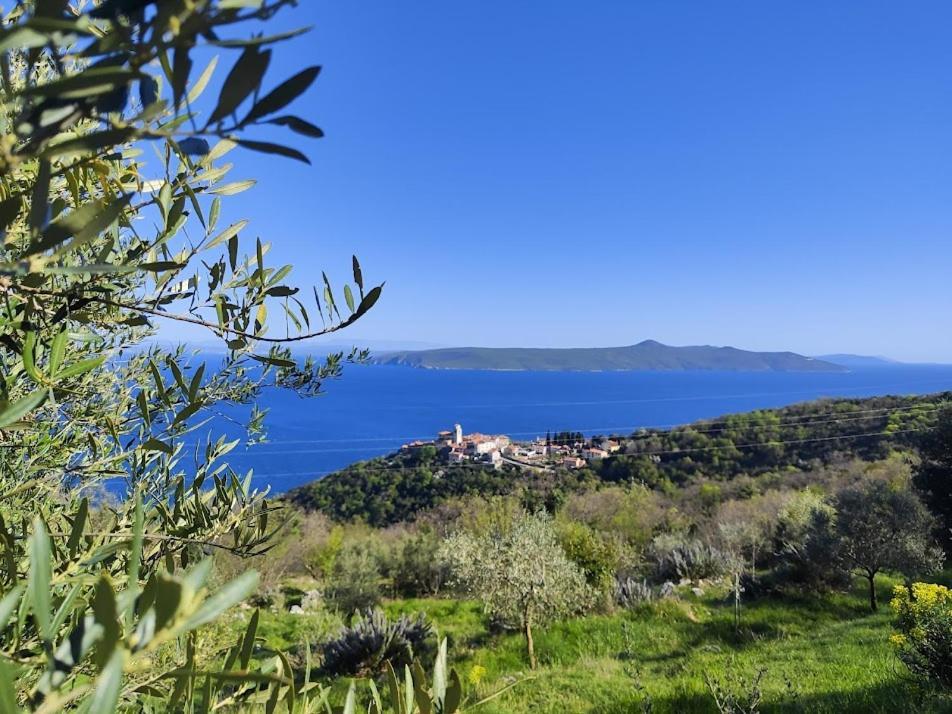 Вилла Casa Delle Olive Мощеничка-Драга Экстерьер фото